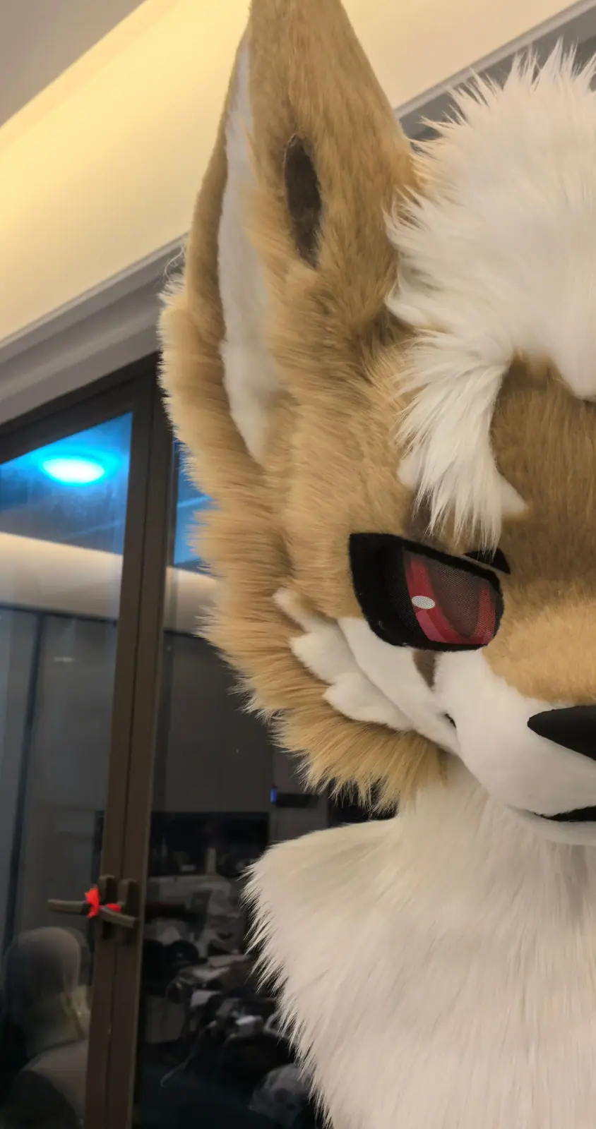 Toony-style tan and white fox fursuit head with an orange hair streak and odd red and blue eyes, three-quarter view